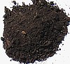 Compost